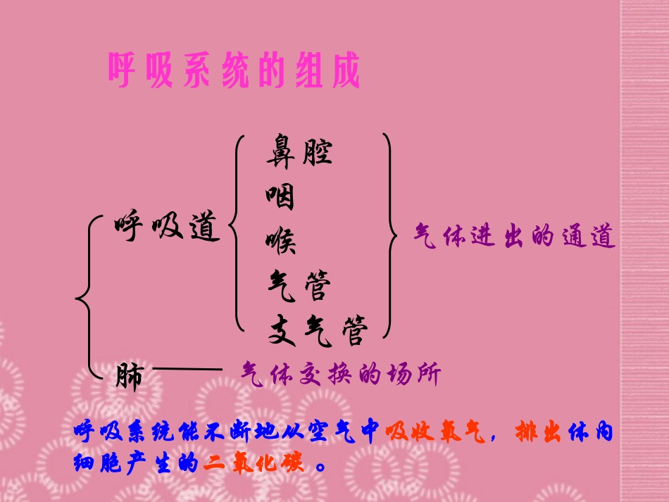 云南省祥云县禾甸中学七年级生物下册《10-3 人体和外界环境的气体交换》课件 苏教版_第3页