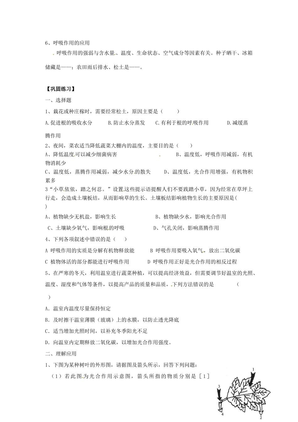 生物：第6章 能量与呼吸 章复习教案（苏科版七年级上）_第3页