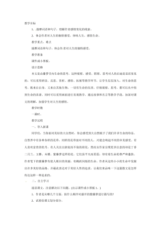 八年级语文下册5.紫藤萝瀑布 教案苏教版