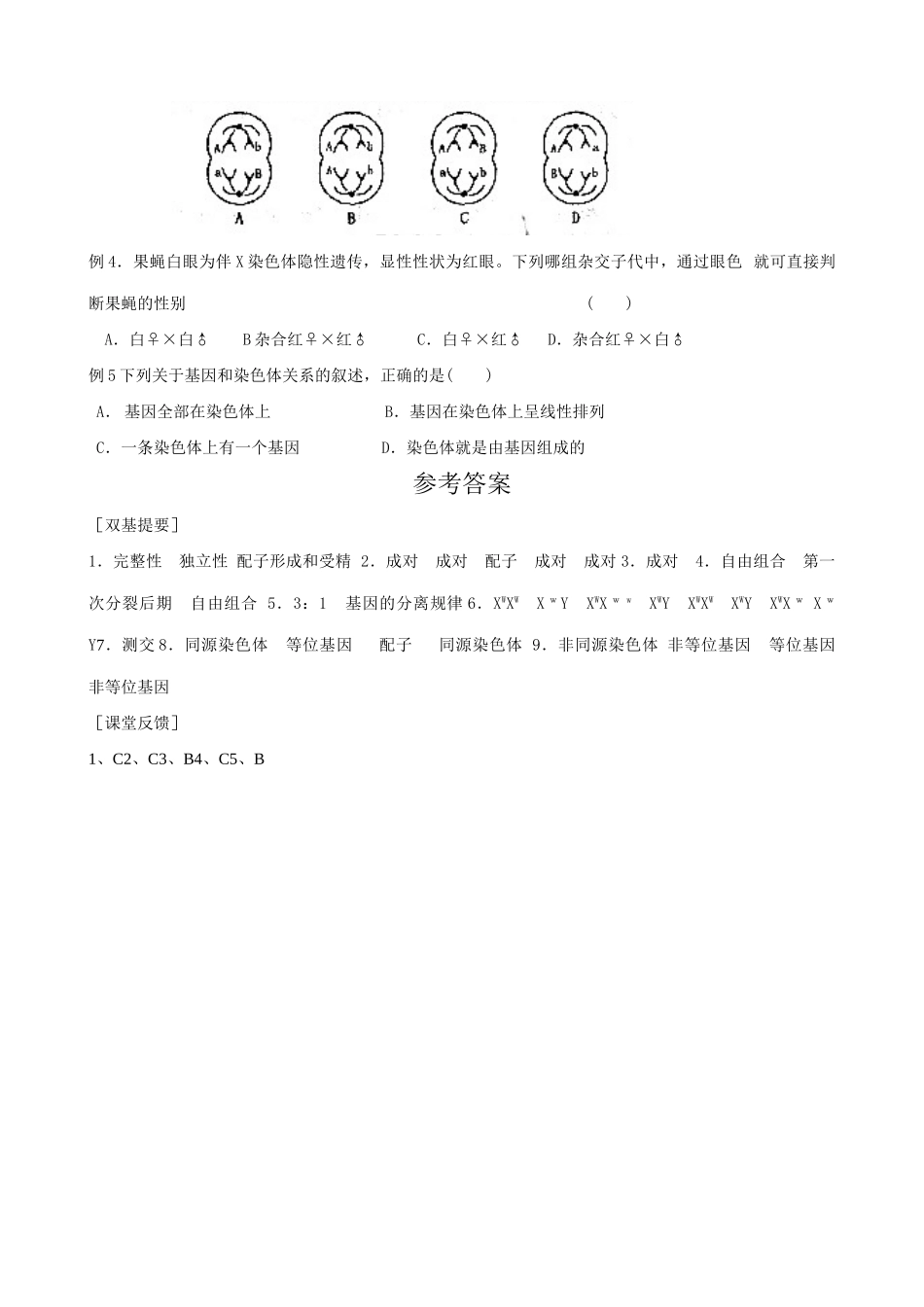 新人教版高中生物必修2基因在染色体上1_第2页