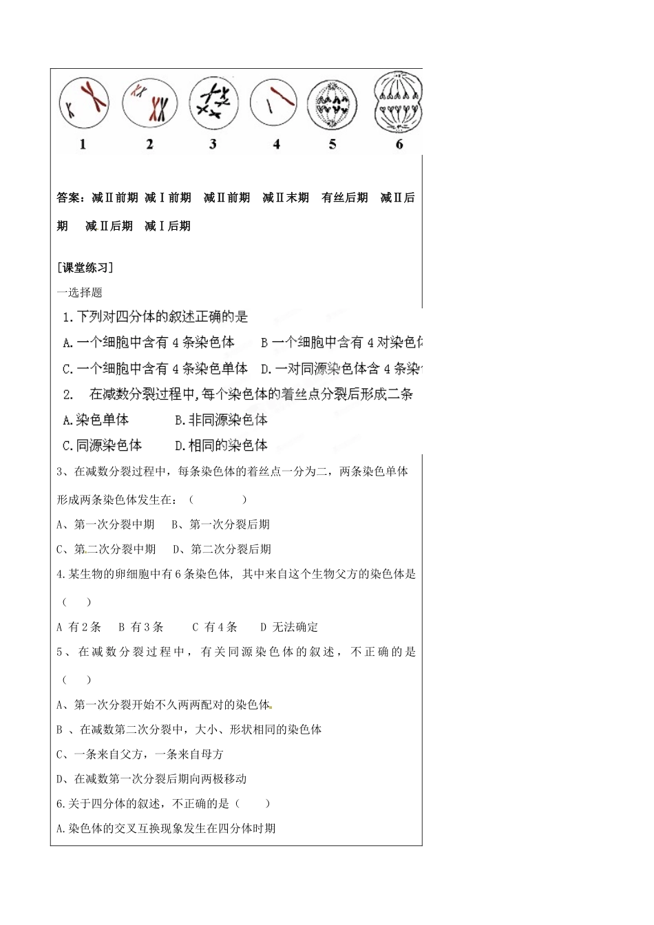江苏省高邮市界首中学高中生物《减数分裂》教案 苏教版必修2_第3页