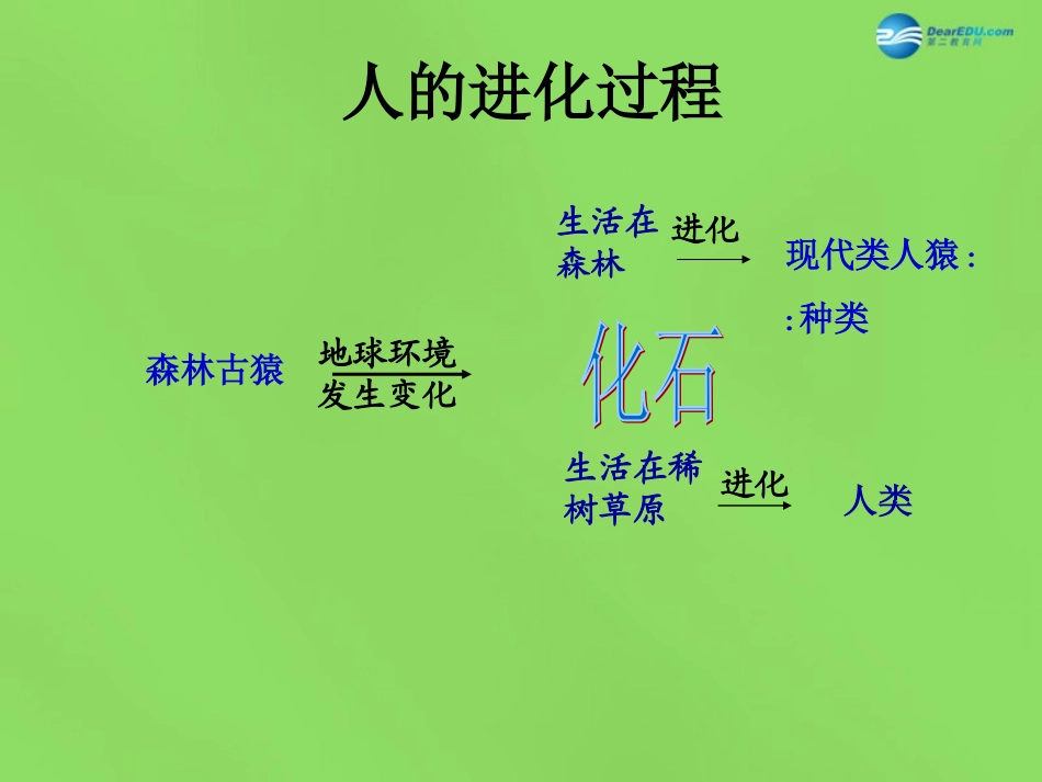 山东省淄博市临淄区第八中学七年级生物下册 第一章 人的由来课件 新人教版_第3页