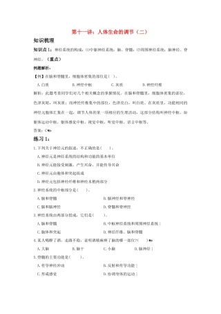 中考生物一轮复习 第十一讲人体生命活动的调节（二）教案 济南版