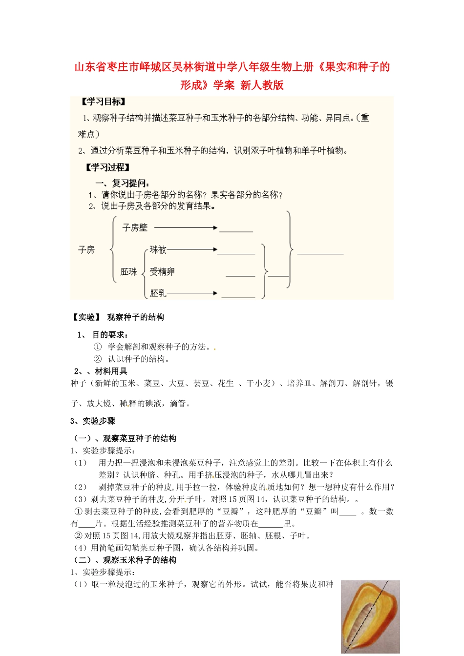 山东省枣庄市峄城区吴林街道中学八年级生物上册《果实和种子的形成》学案（无答案） 新人教版_第1页