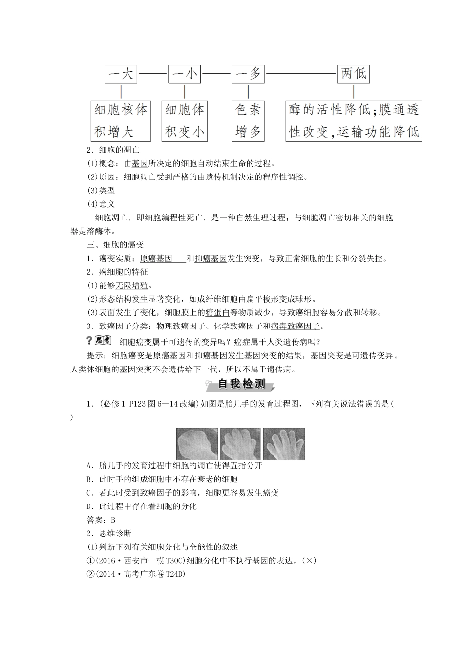优化方案高考生物大一轮复习 第四单元 细胞的生命历程 第13讲 细胞的分化、衰老、凋亡及癌变讲义-人教版高三全册生物教案_第2页