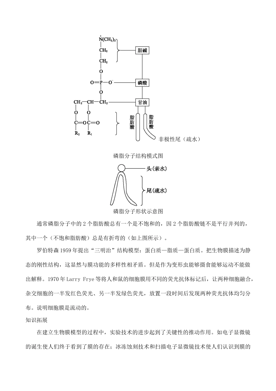 山西省运城市康杰中学高中生物 4.2 生物膜的流动镶嵌模型精品学案 新人教版必修1_第2页