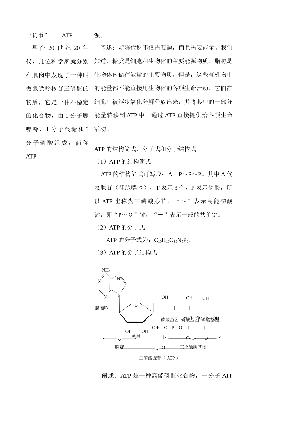 苏教版高中生物必修1ATP和酶4_第2页