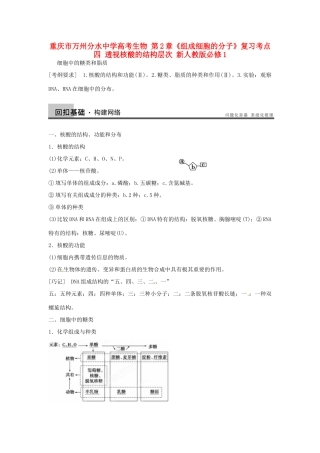 重庆市万州分水中学高考生物 第2章《组成细胞的分子》复习考点四 透视核酸的结构层次 新人教版必修1