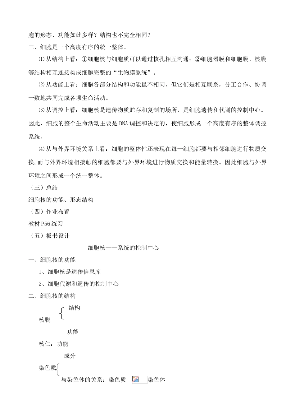 新人教版高中生物必修1细胞核 系统的控制中心_第3页