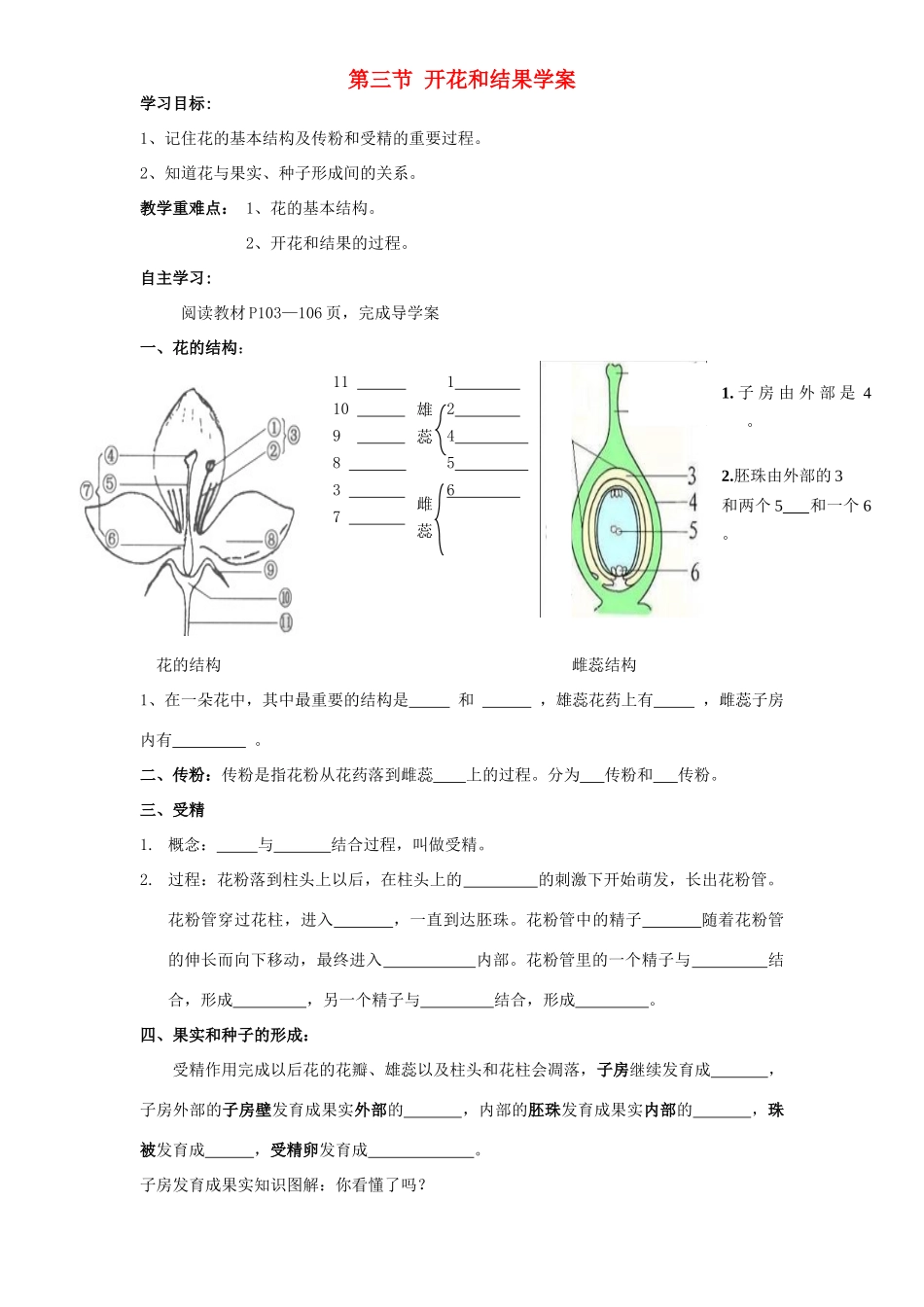 四川省泸州市天立中学七年级生物上册 第三单元 第二章 第三节 开花和结果学案（无答案）（新版）新人教版_第1页