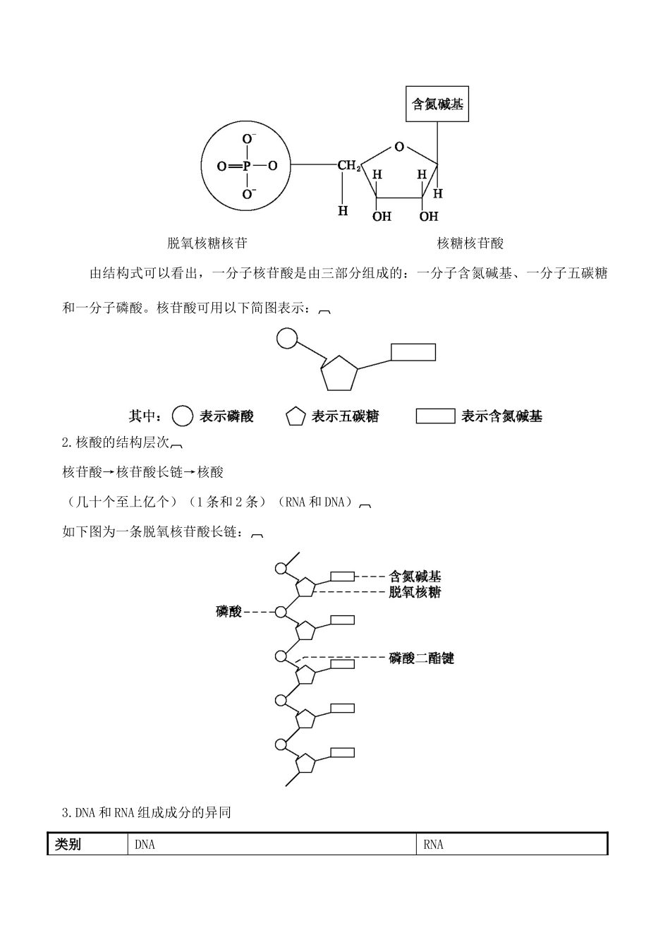 山西省运城市康杰中学高中生物 2.3 遗传信息的携带者 核酸知识点归纳 新人教版必修1_第3页