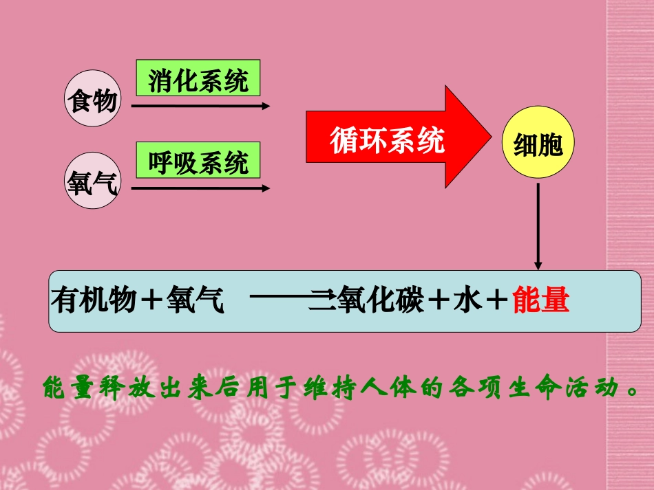 云南省祥云县禾甸中学七年级生物下册《10-5 人体能量的供给》课件 苏教版_第2页
