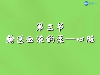 山东省淄博市临淄区第八中学七年级生物下册 4.3 输送血液的泵—心脏课件 新人教版