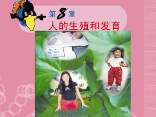 云南省祥云县禾甸中学七年级生物下册《8-1 精卵结合孕育新的生命》课件 苏教版