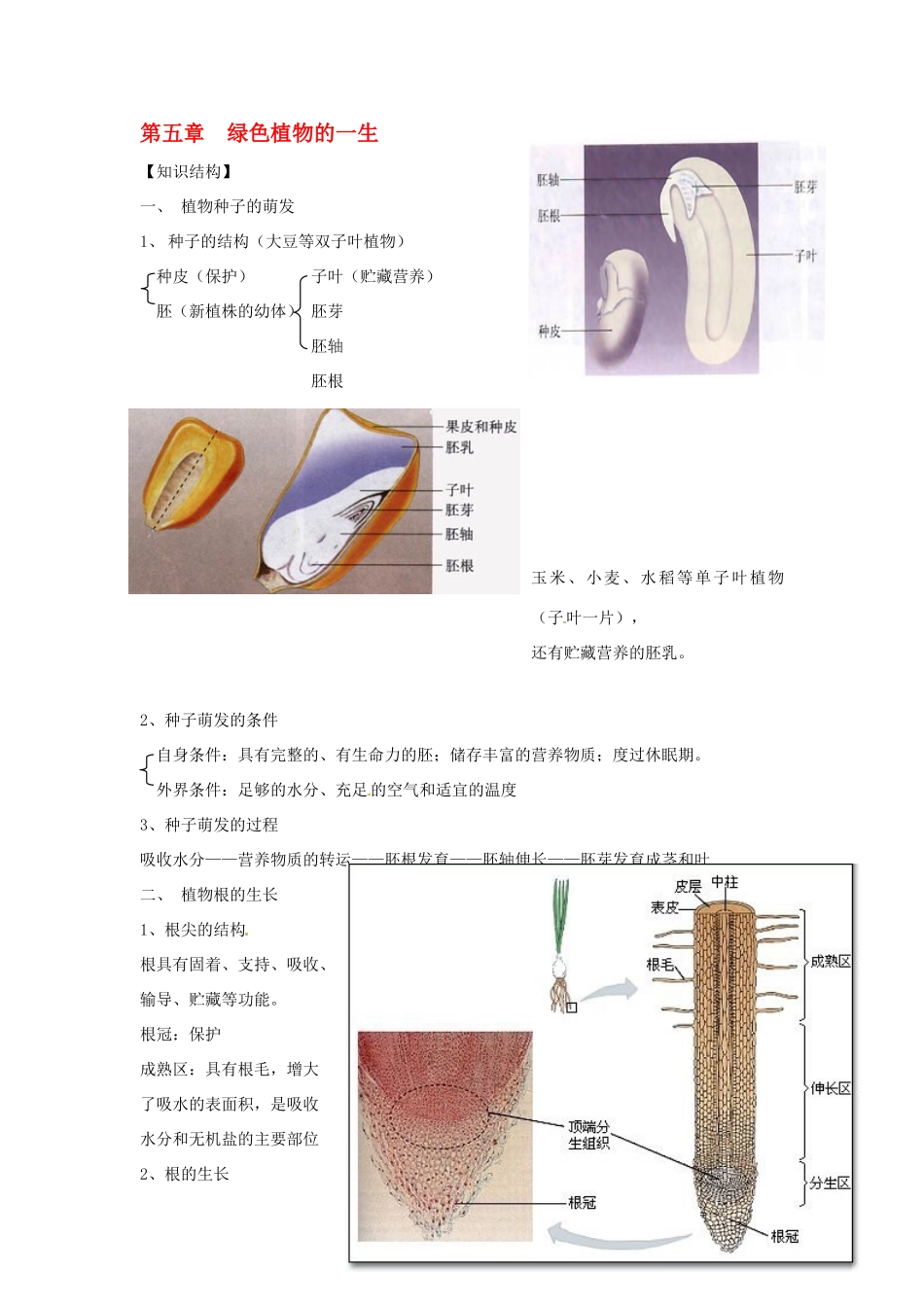 生物：第5章绿色植物的一生复习学案（苏教版七年级上）_第1页