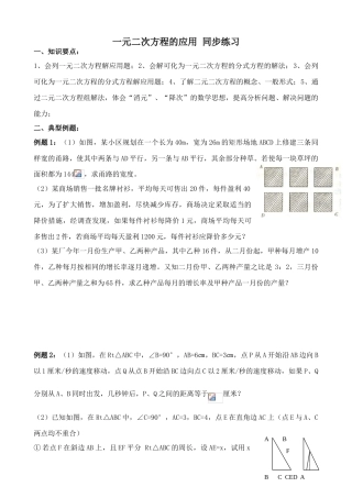 湘教版九年级数学一元二次方程的应用 同步练习