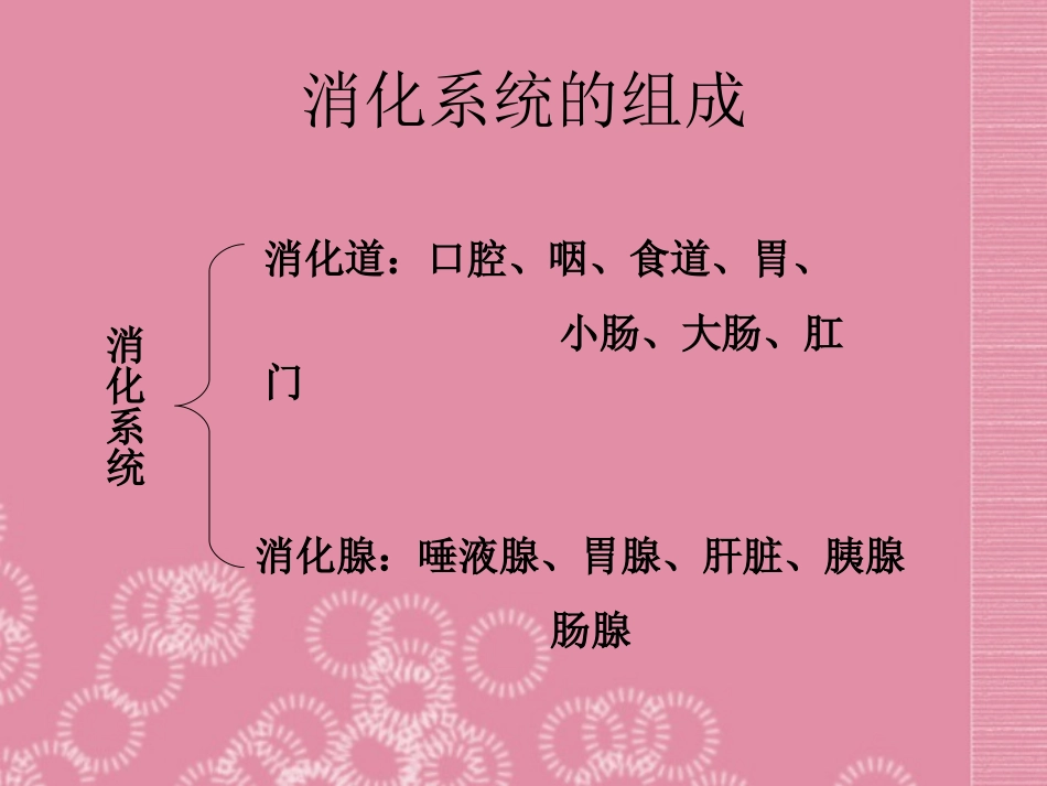 云南省祥云县禾甸中学七年级生物下册《9-2 人体的消化与吸收》课件 苏教版_第3页