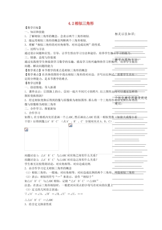 浙江省温州市瓯海区实验中学九年级数学上册 4.2《相似三角形》教案 浙教版