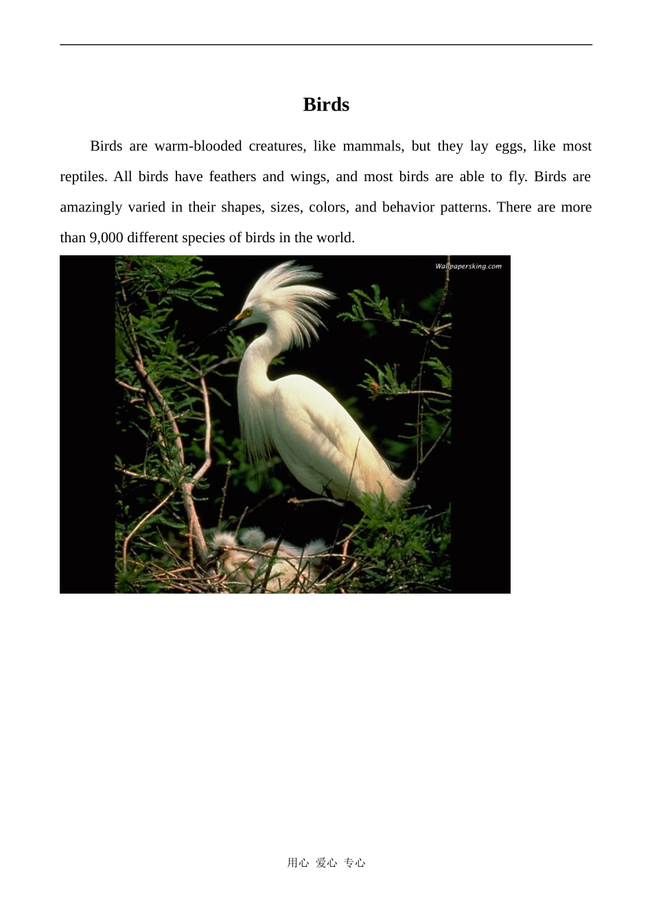 高中英语Unit14 Zoology文章 Birds人教版第三册_第1页
