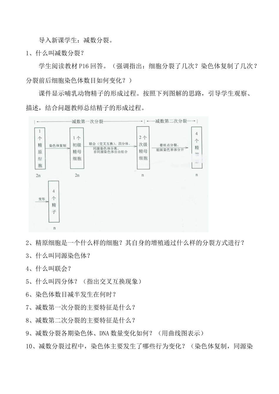 新人教版必修2高中生物减数分裂和受精作用2_第3页