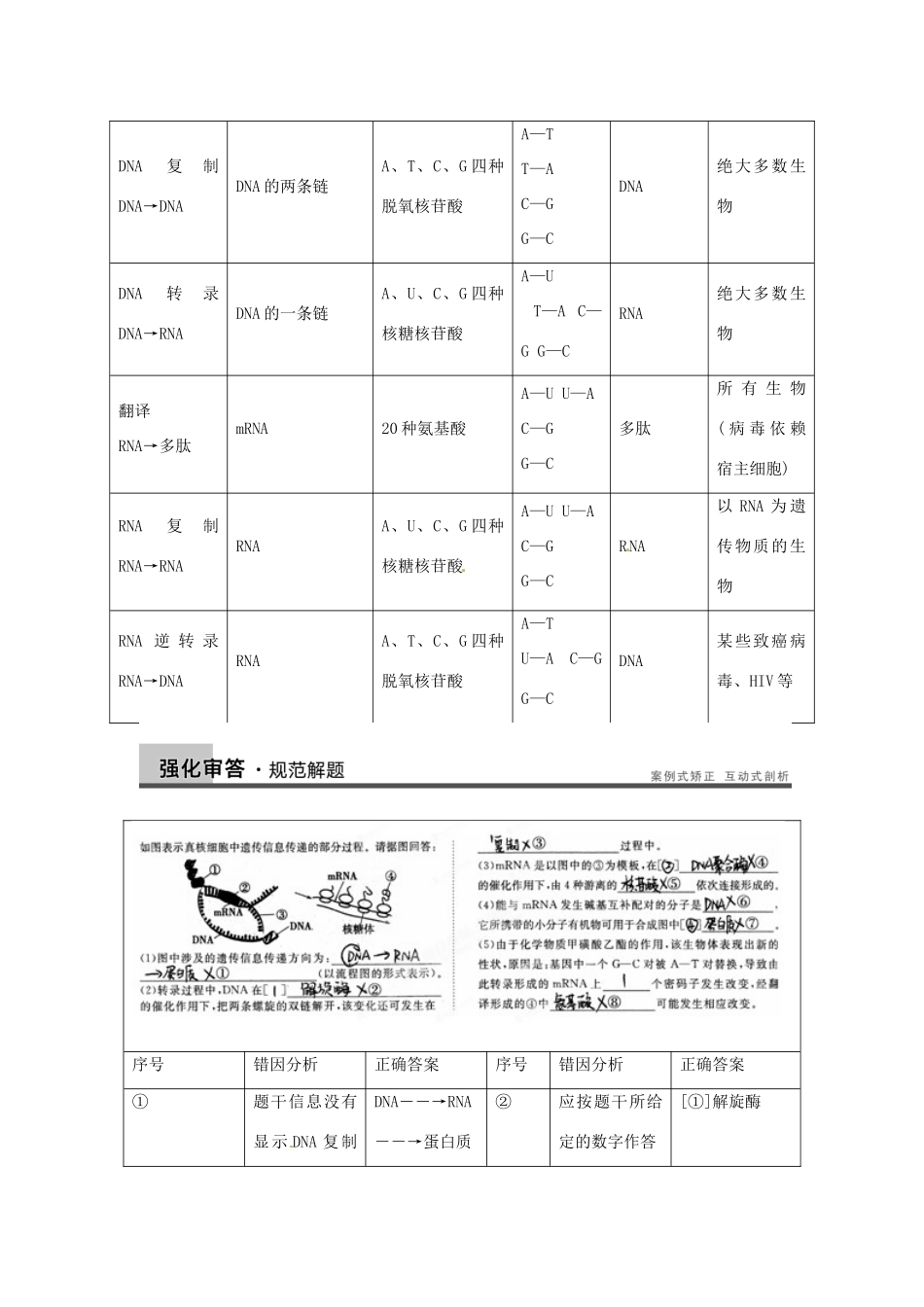 重庆市万州分水中学高考生物 第4章《基因的表达》考点复习二 分析中心法则 新人教版必修2_第3页