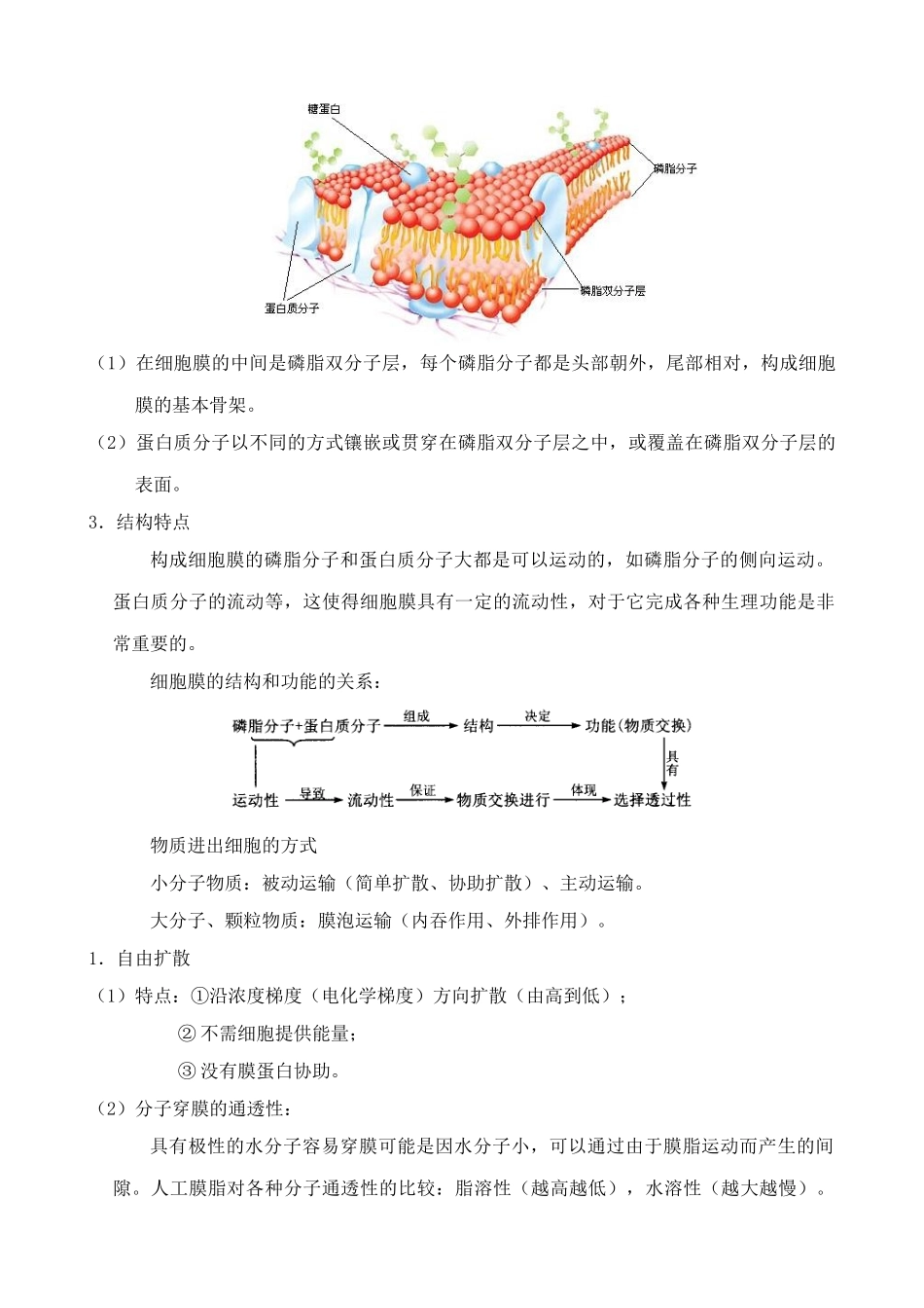 新人教版高中生物必修1细胞的基本结构 第1课时_第3页