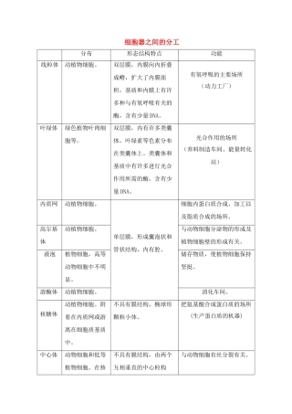 细胞器之间的分工
