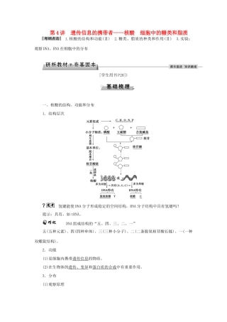 优化方案高考生物大一轮复习 第一单元 细胞及分子组成 第4讲 遗传信息的携带者-核酸细胞中的糖类和脂质讲义-人教版高三全册生物教案
