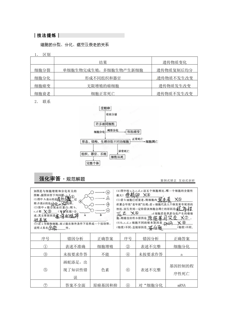 重庆市万州分水中学高考生物 第6章《细胞的生命历程》复习考点三 聚焦细胞的衰老 新人教版必修1_第3页
