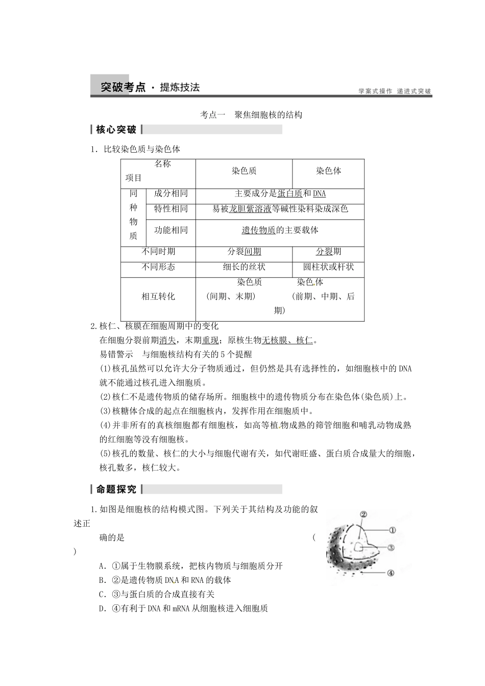 重庆市万州分水中学高考生物 第3章《细胞的基本结构》复习考点三 聚焦细胞核的结构 新人教版必修1_第2页