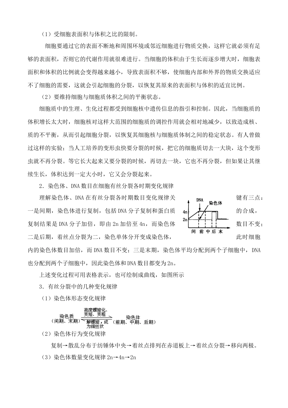 新人教版高中生物必修1细胞增殖_第2页