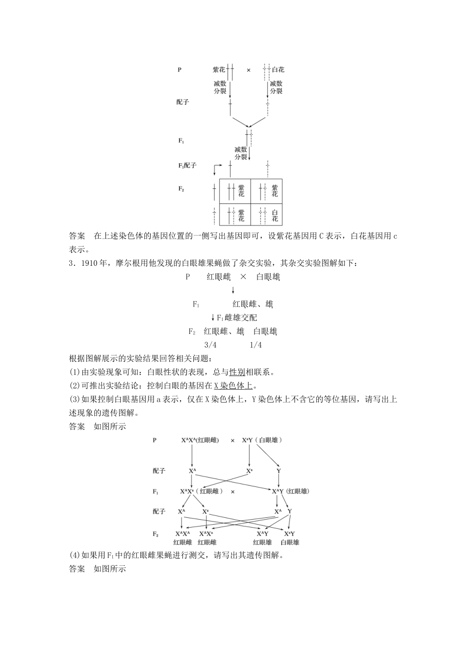 新高考生物一轮复习 第四单元 孟德尔定律和染色体与遗传 第16讲 遗传的染色体学说、性染色体与伴性遗传讲义 浙科版-浙科版高三全册生物教案_第2页