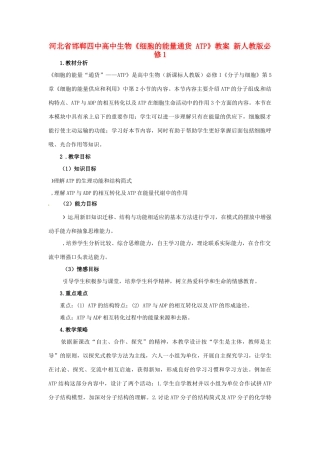 河北省邯郸四中高中生物《细胞的能量通货 ATP》教案 新人教版必修1