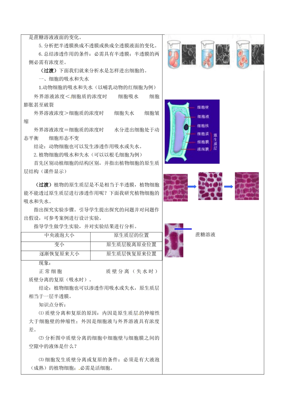河北省抚宁县第六中学高中生物 4-1 物质跨膜运输的实例教案 新人教版必修1_第2页