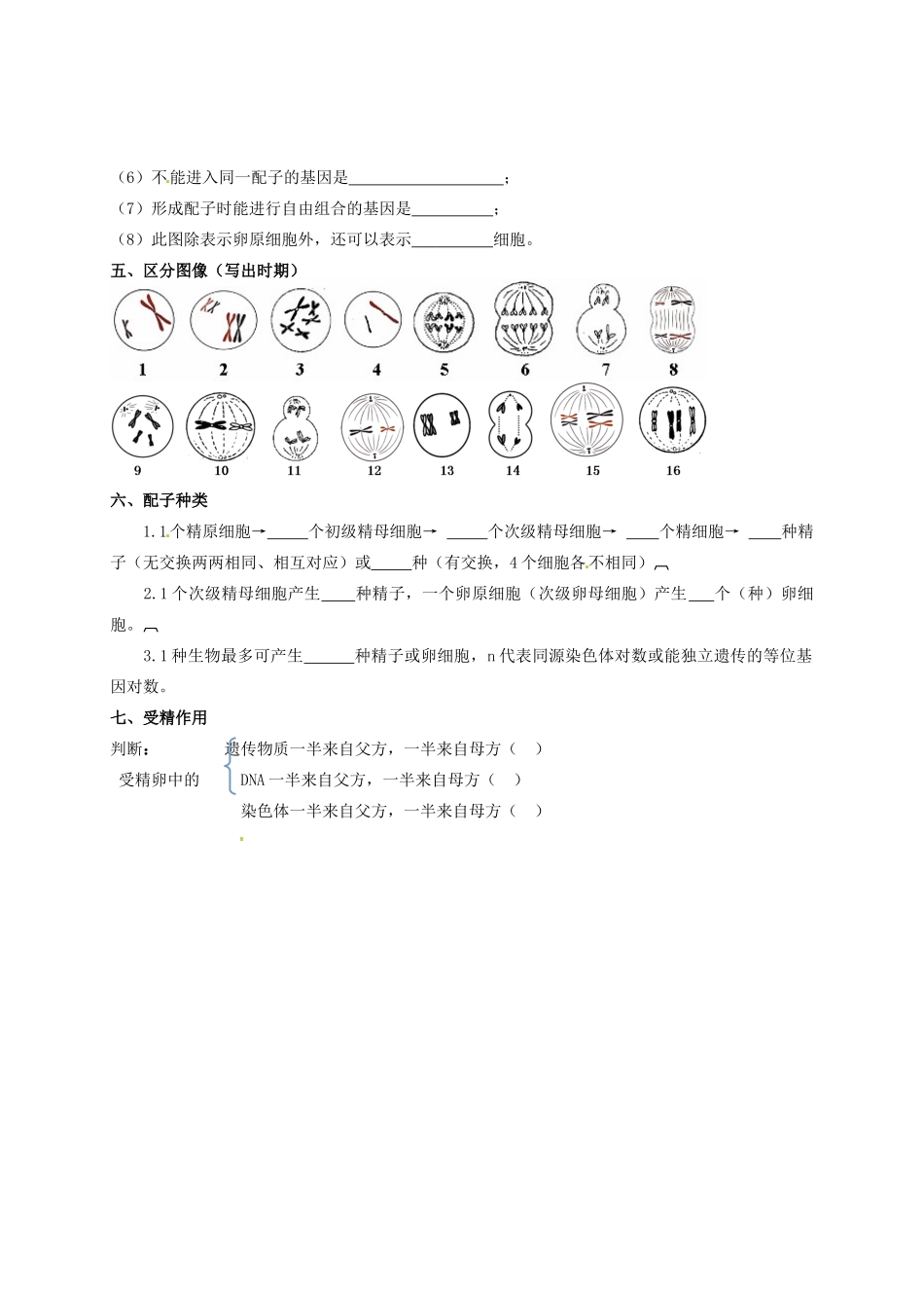 山东省德州市武城二中高中生物 第二章 基因和染色体的关系教案 新人教版必修2_第2页