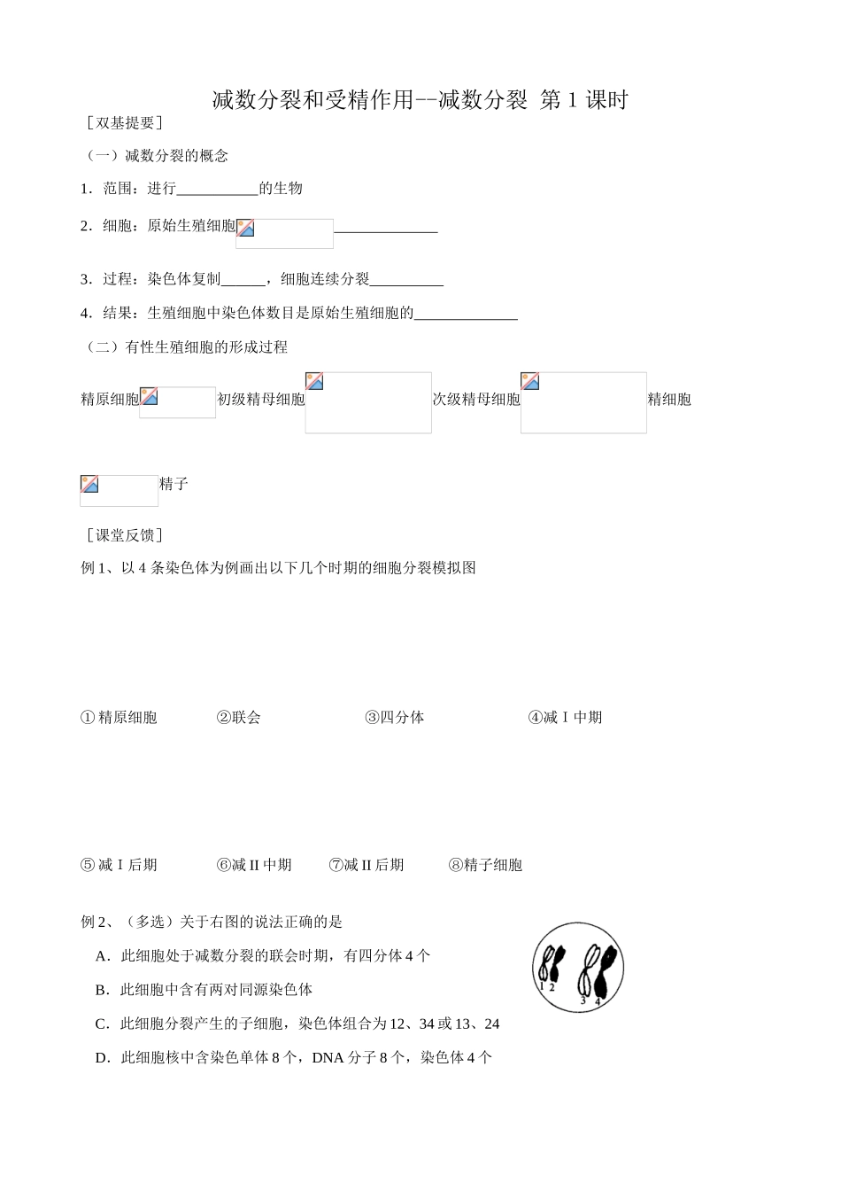 新人教版高中生物必修2减数分裂和受精作用--减数分裂_第1页