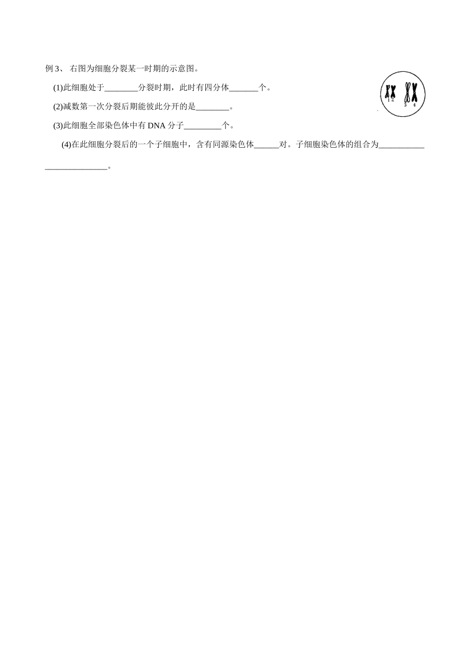 新人教版高中生物必修2减数分裂和受精作用--减数分裂_第2页