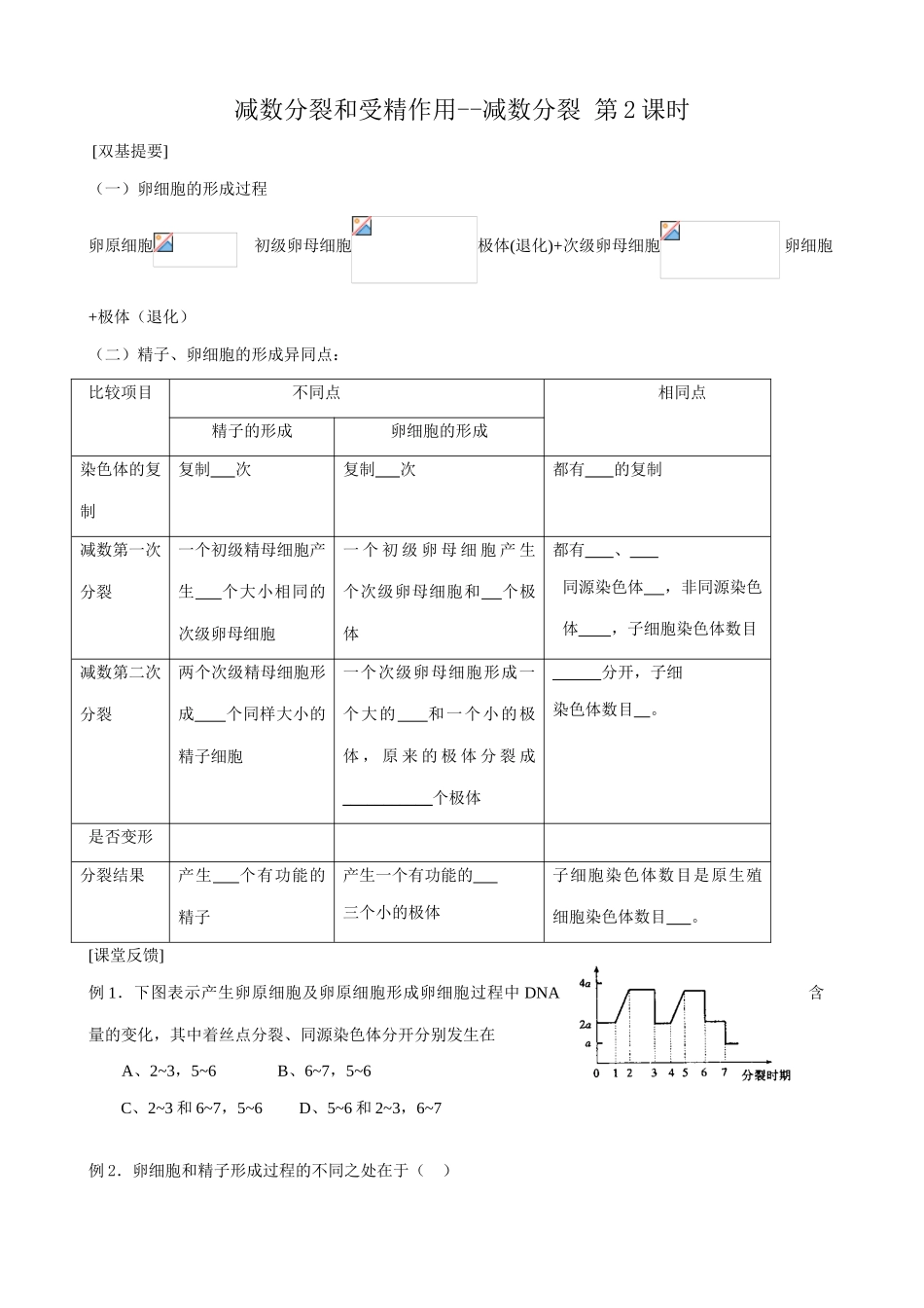 新人教版高中生物必修2减数分裂和受精作用--减数分裂_第3页