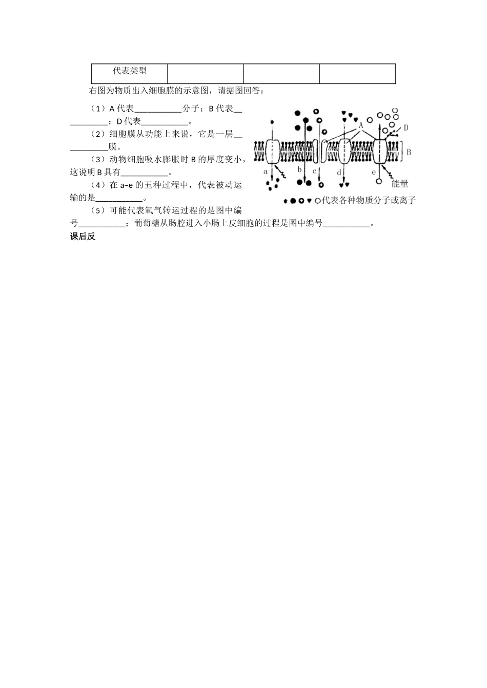 江苏省泰州实验中学高中生物教案：4.3《物质跨膜运输的方式》高中生物教案（新人教必修1）_第3页