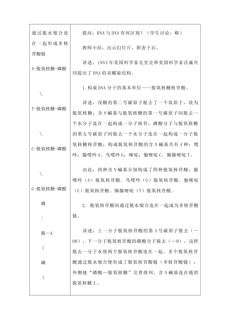 人教版高中生物必修2遗传的物质基础--DNA分子的结构和复制1_第3页