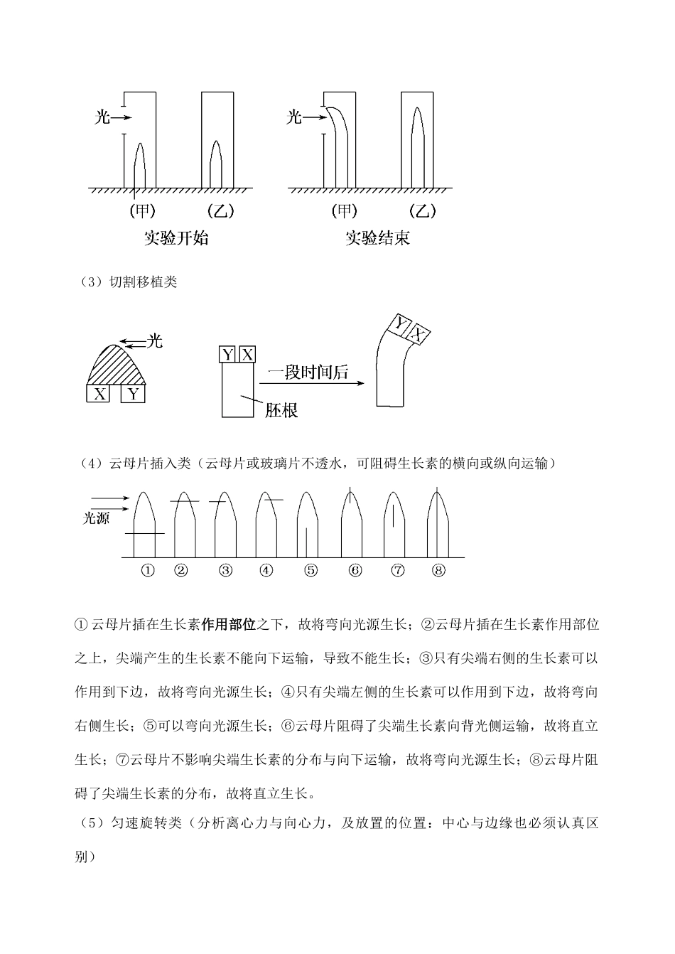 天津市高考生物一轮复习 专题7 植物的激素调节教案 新人教版_第3页