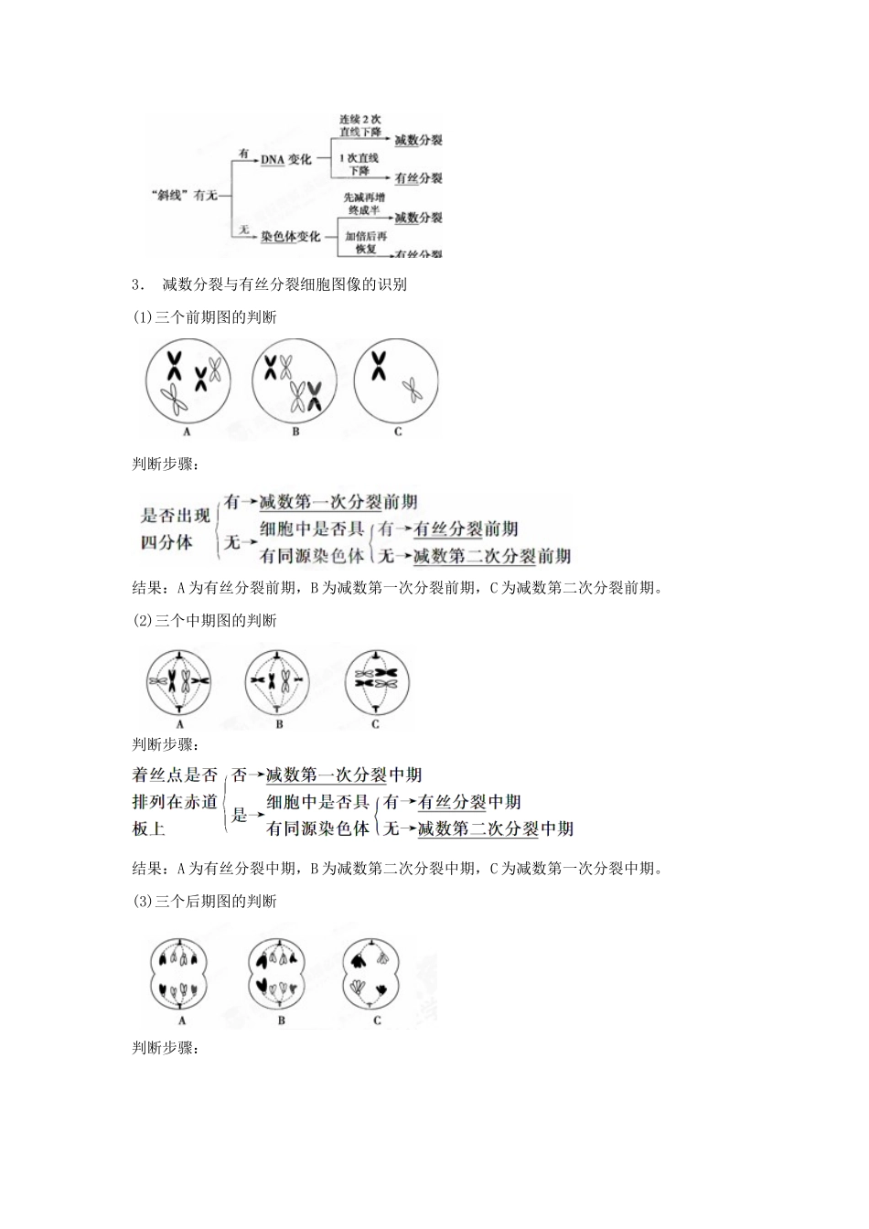 重庆市万州分水中学高考生物 第2章《基因和染色体的关系》考点复习二 比较减数分裂与有丝分裂 新人教版必修2_第2页