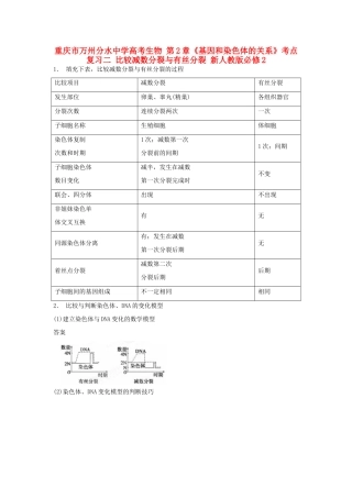 重庆市万州分水中学高考生物 第2章《基因和染色体的关系》考点复习二 比较减数分裂与有丝分裂 新人教版必修2