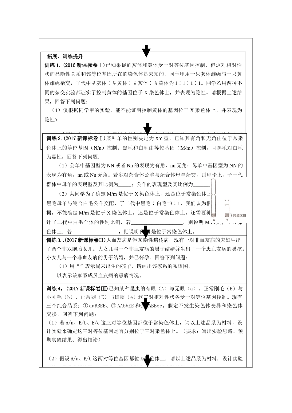 陕西省高考生物 备考策略 伴性遗传复习教案-人教版高三全册生物教案_第3页