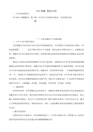 苏教版高中生物必修1ATP和酶2