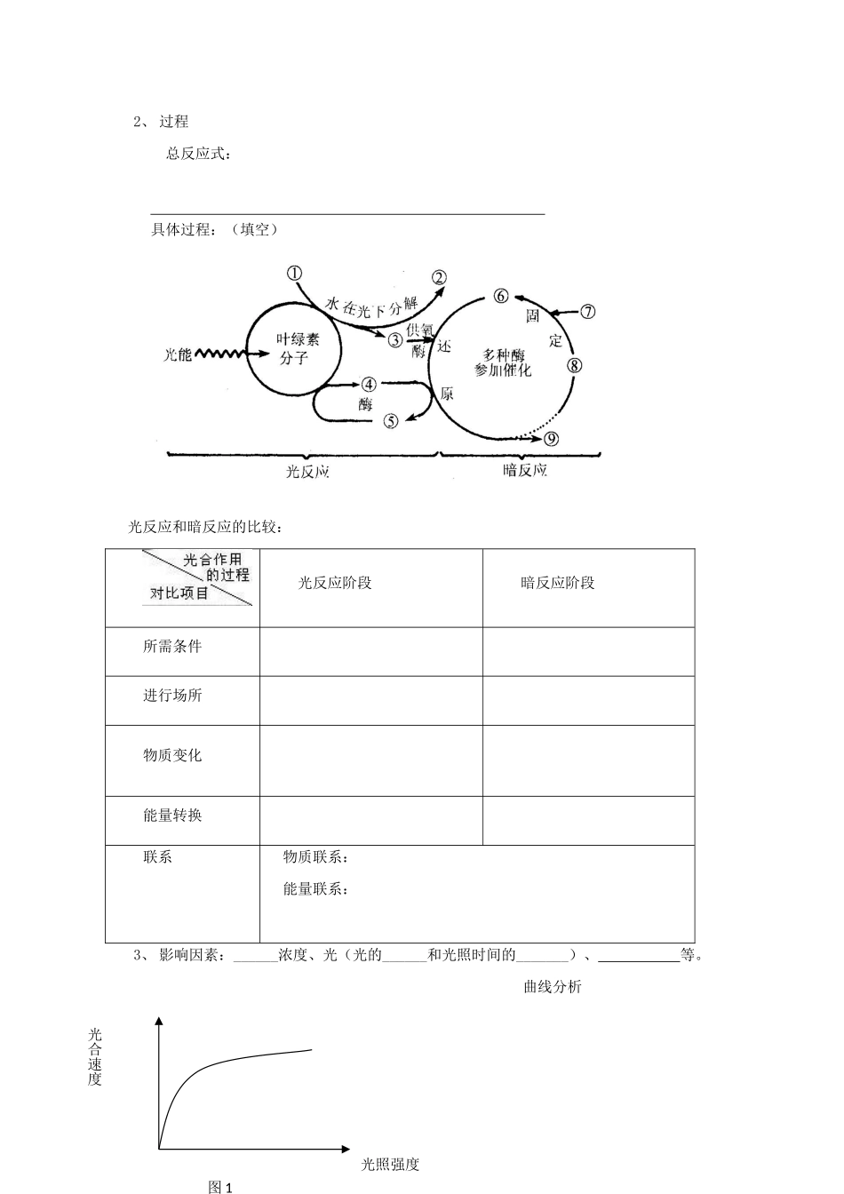江苏省泰州实验中学高中生物教案：5.4《能量之源──光与光合作用》教案（新人教必修1）_第3页