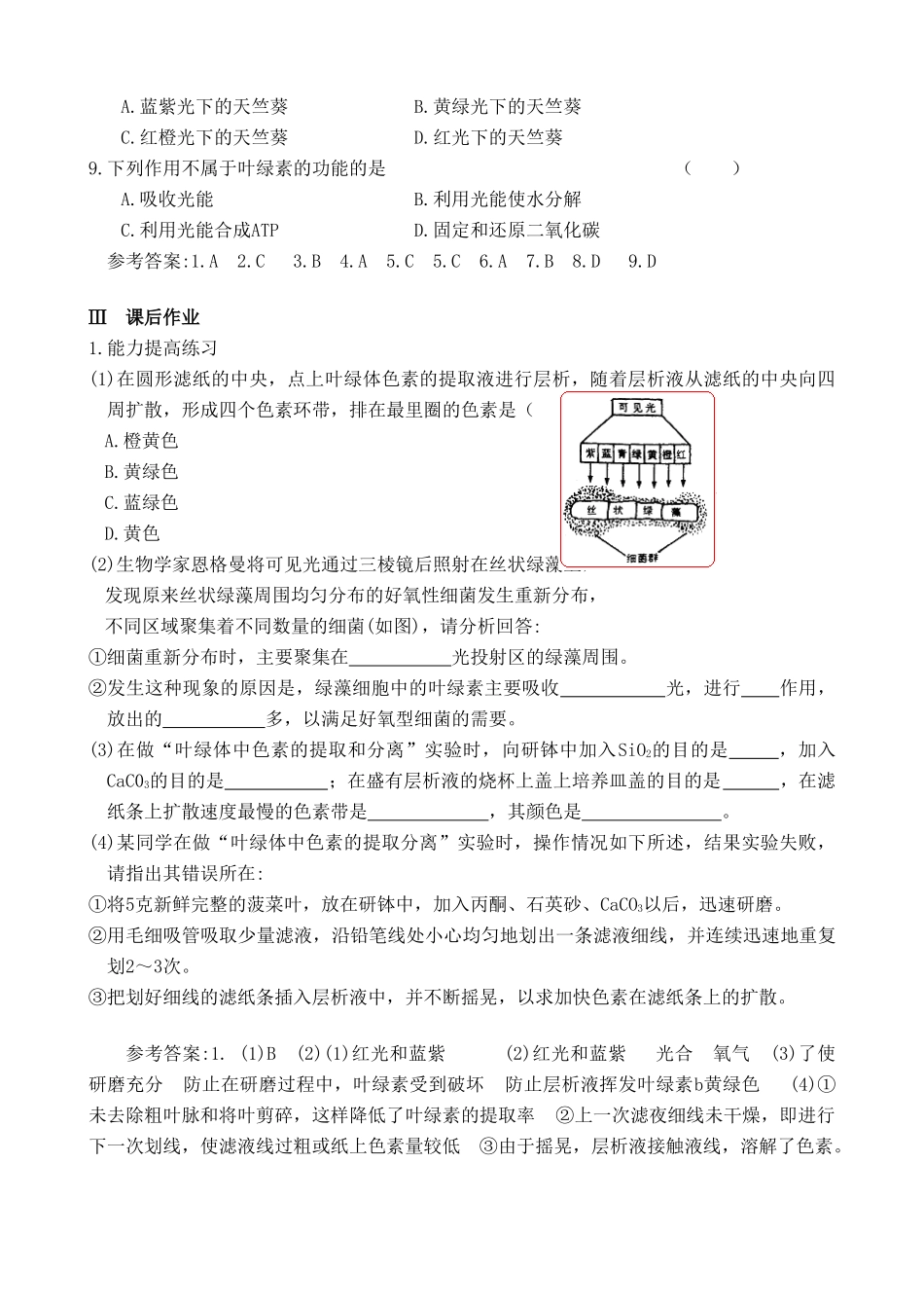 人教版高中生物必修1实验六 叶绿体中色素的提取和分离_第3页