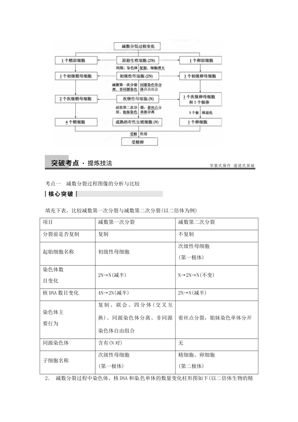 重庆市万州分水中学高考生物 第2章《基因和染色体的关系》考点复习一 减数分裂过程图像的分析与比较 新人教版必修2_第3页