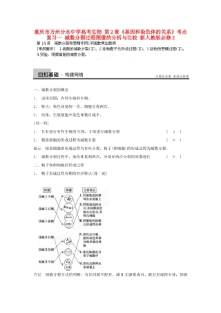 重庆市万州分水中学高考生物 第2章《基因和染色体的关系》考点复习一 减数分裂过程图像的分析与比较 新人教版必修2