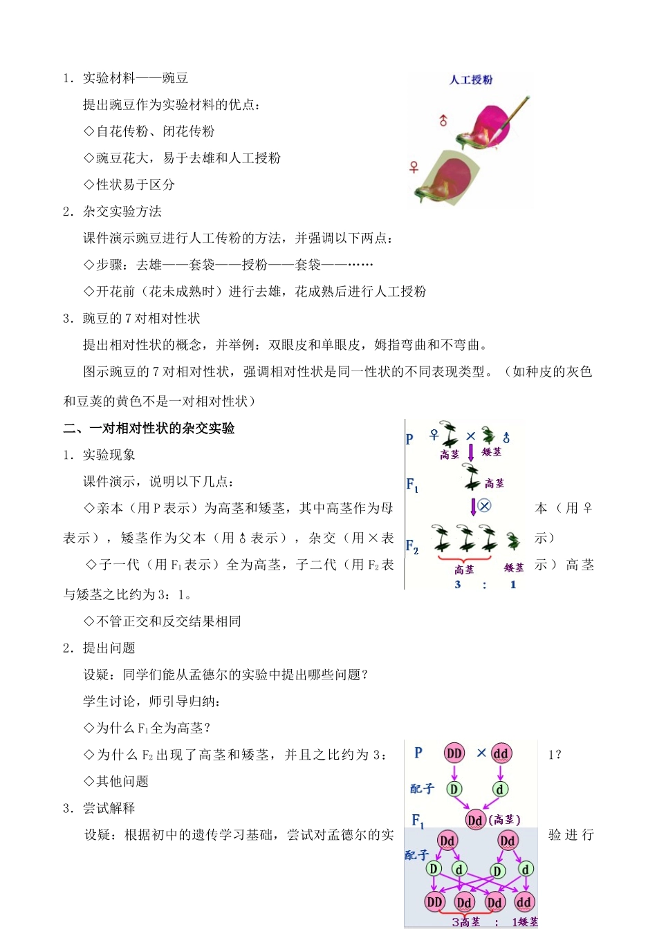 新人教版高中生物必修2孟德尔的豌豆杂交实验1_第2页